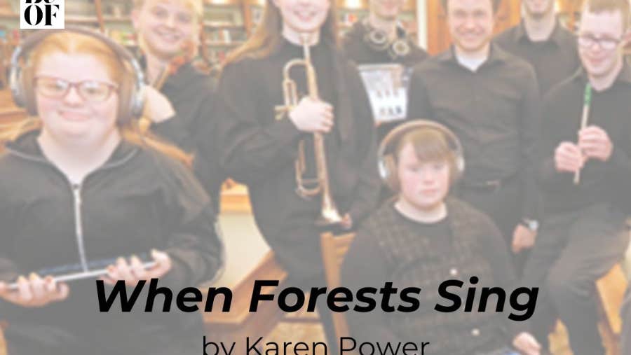 A wordless opera, performed by members of OYOI (Open Youth Orchestra of Ireland – musicians living with disabilities), students from RIAM (Royal Irish Academy of Music), with instrumentalists, choir, soundscapes, forest soundscapes