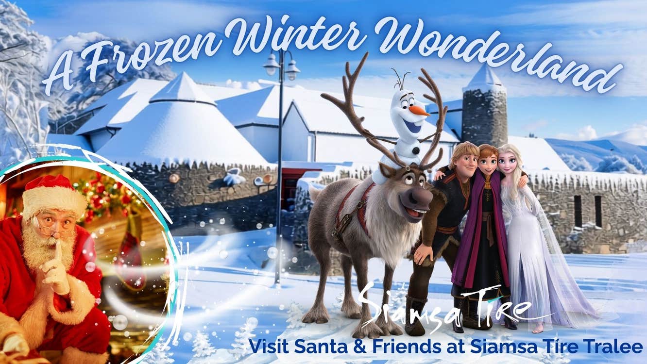 A Frozen Winter Wonderland