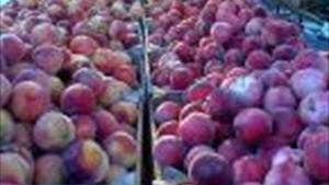Ballycross Apple Farm
