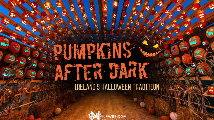 Pumpkins After Dark at Newbridge House