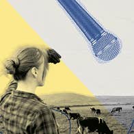 A person looking at a field of cows grazing overlaid with image of a mic and lead.