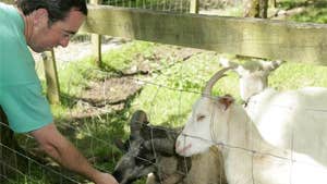 Turoe Pet Farm and Leisure Park