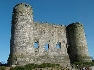 Carlow Castle, Carlow