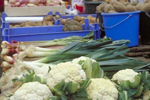 Galway Farmers Market