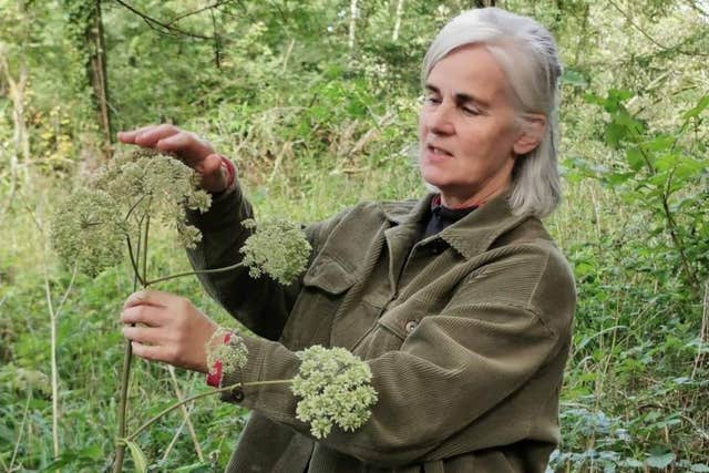 Wild Food Mary, Birr, Offaly