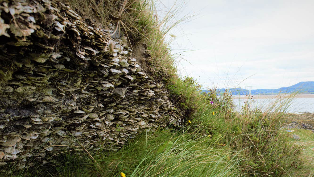 Culleenamore Middens