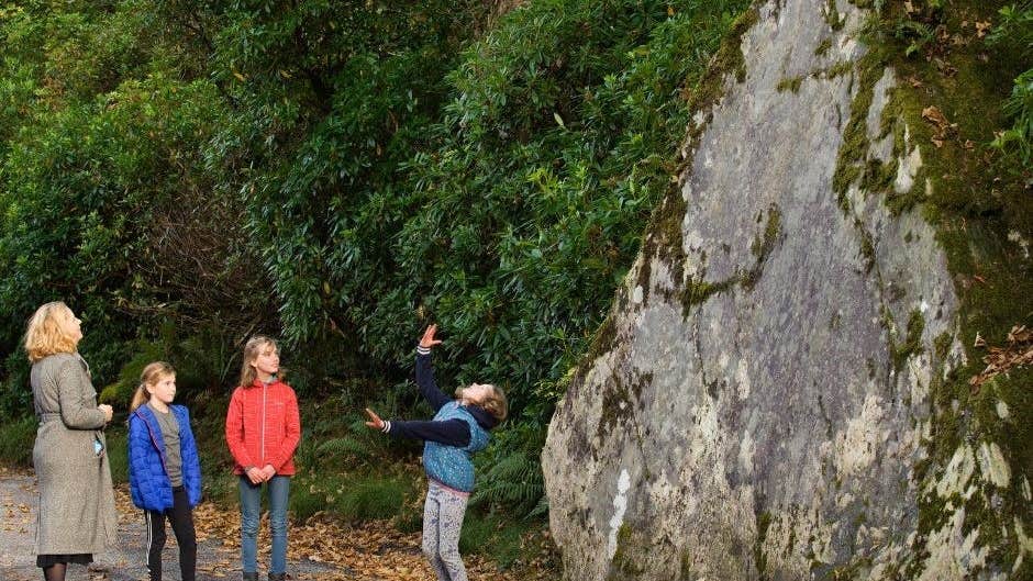 One adult and three children standing amongst fallen leaves with a rock and trees behind them