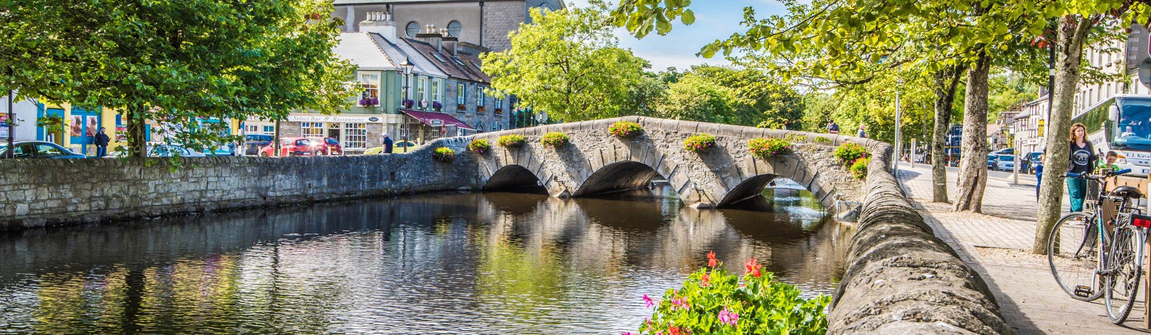 Green trees hanging over a river in Westport Town, Mayo