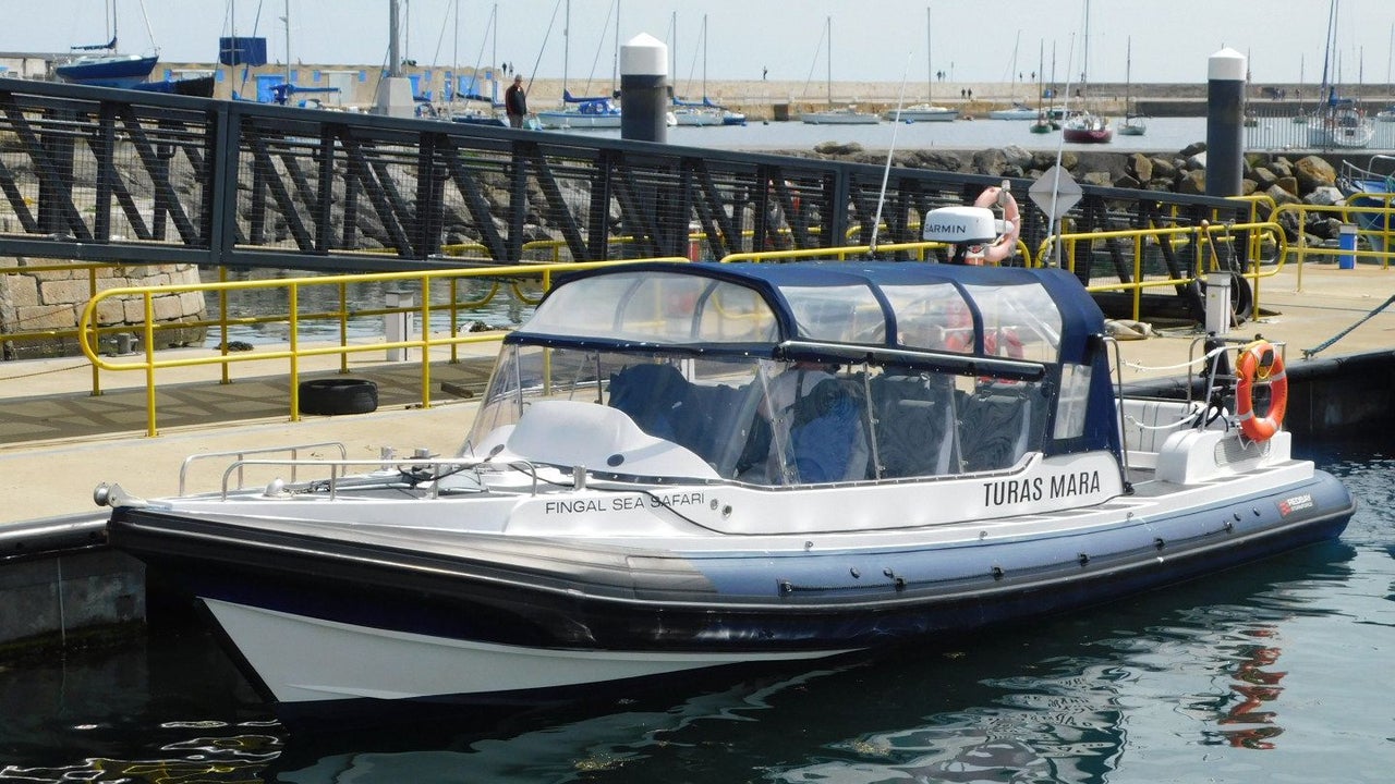 Fingal Sea Safari boat parked up at the harbour