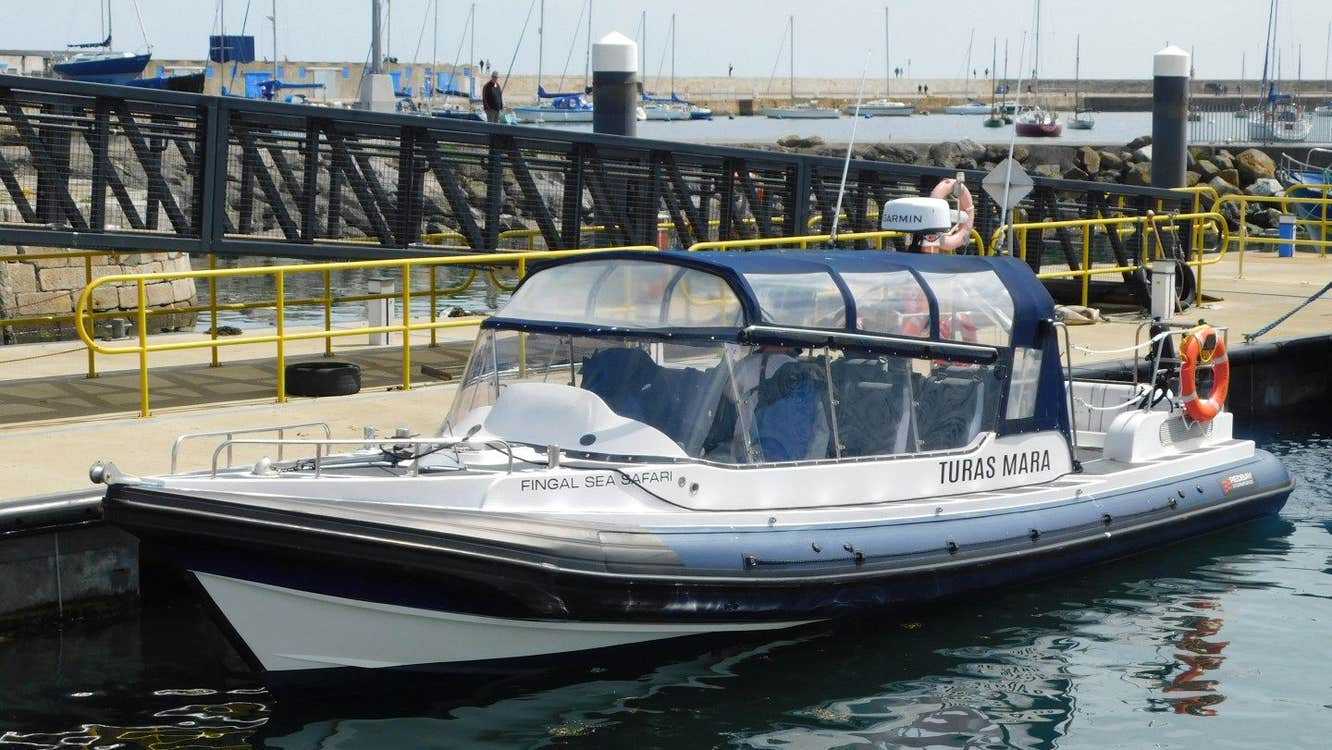 Fingal Sea Safari boat parked up at the harbour