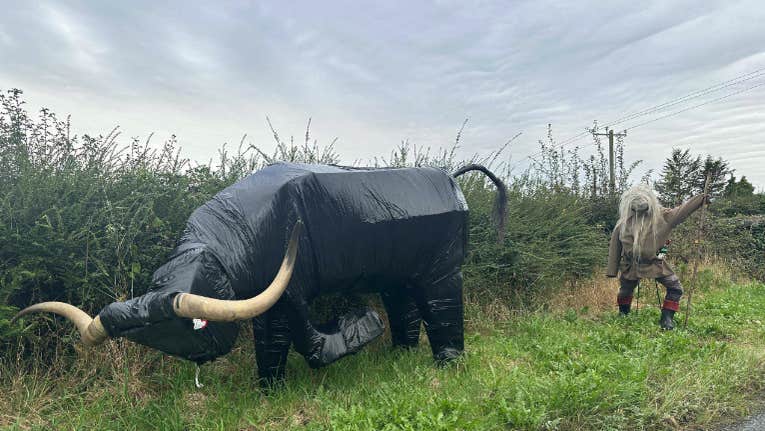 Very Creative Scarecrow at multyfarnham competition, bull on side of road