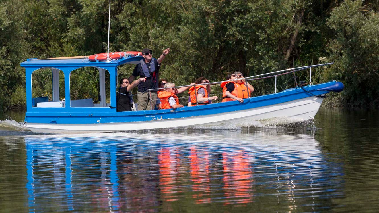 People enjoying a boat tour with Blackwater Eco Tours