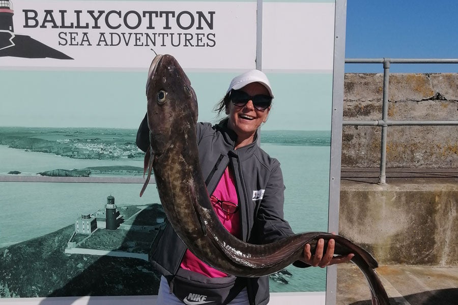 Ballycotton Sea Adventures