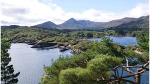 Wild Way Tours in west Cork