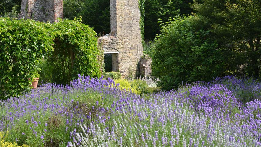 Old mill walls in garden at Fairbrook House Garden