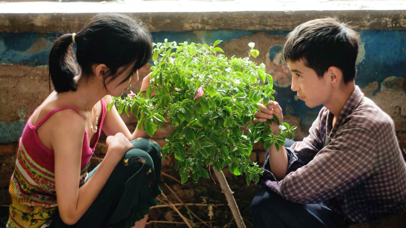 A boy and a girl are sitting on opposite sides of a small tree. They're indoors.