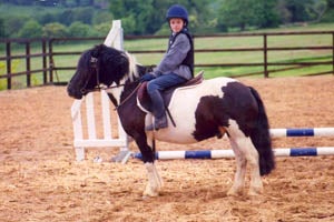 Maltfield Stud Riding School