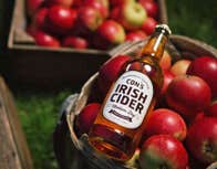 The Apple Farm view of a bottle of cider on a basket of red apples