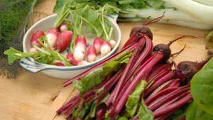 Image of organic radishes, rhubarb and bok choy