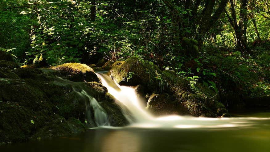 Keale River in Co Limerick
