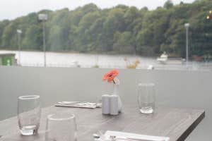 Table overlooking the water with glasses and flower vase on the table