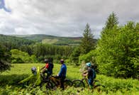 Three mountain bikers on a bike path surrounded by plants and trees