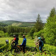 Three mountain bikers on a bike path surrounded by plants and trees