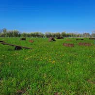 A park with wooden obstacles for dogs