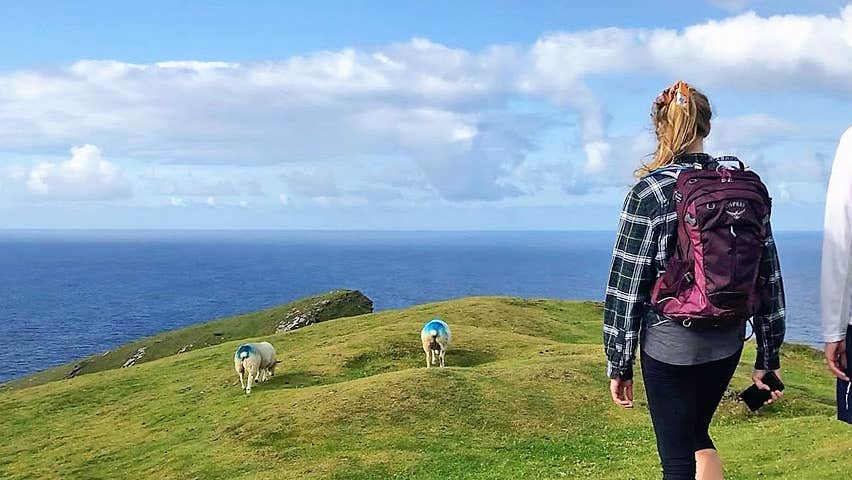 Beyond the Glass Six Day Adventurer Tour walkers on a hilltop with sheep and a view of the Skellig Islands