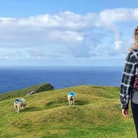 Beyond the Glass Six Day Adventurer Tour walkers on a hilltop with sheep and a view of the Skellig Islands