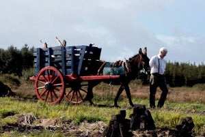 Ireland West Bog Experience