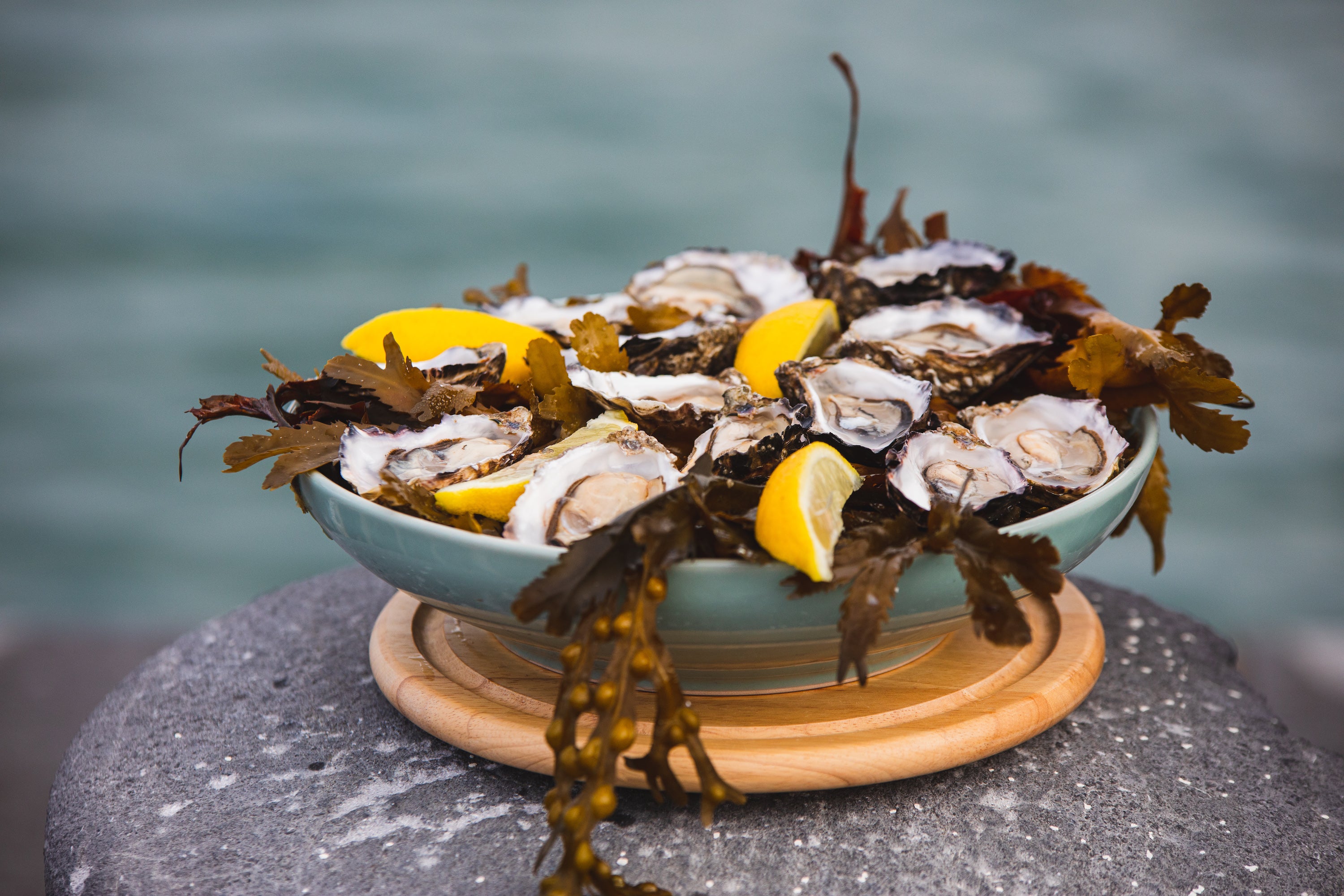 Bowl of oysters with lemon wedges and seaweed.