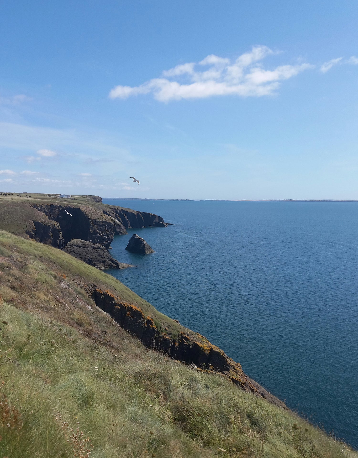 Waterford Estuary Coastal Path – Dunmore East to Ballymacaw
