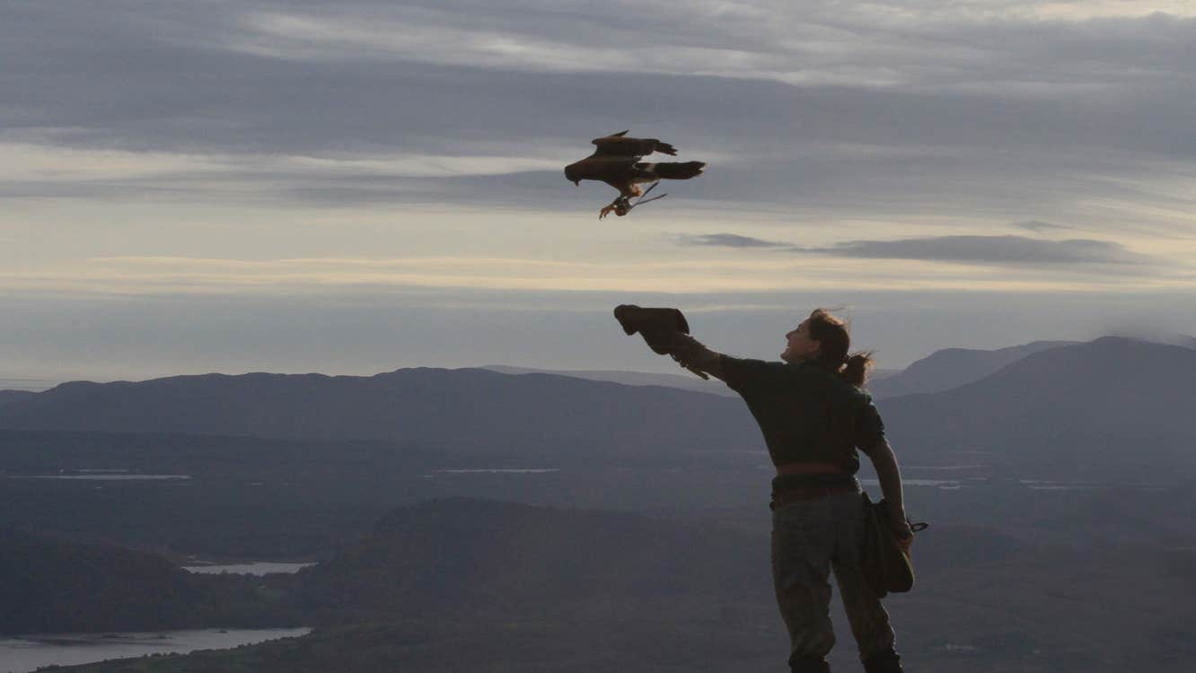 Woman standing on mountain with hawk