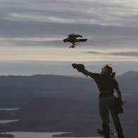 Woman standing on mountain with hawk