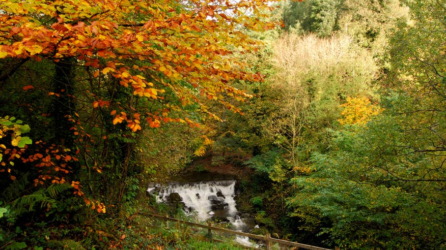 Dún na Rí Forest Park in County Cavan