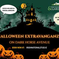 Halloween Extravaganza on Dark Horse Avenue