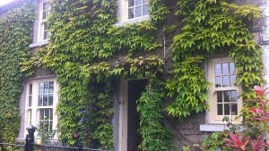 Castle Ivy Lodge Front of House