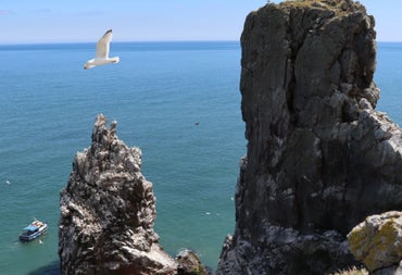 Two cliffs with a seagull flying overhead and a boat in the sea below