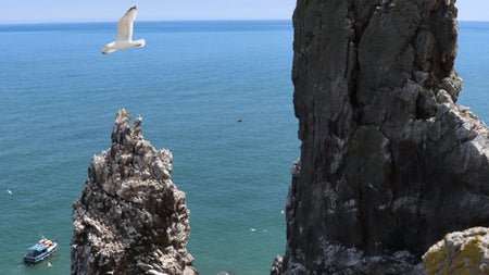 Two cliffs with a seagull flying overhead and a boat in the sea below