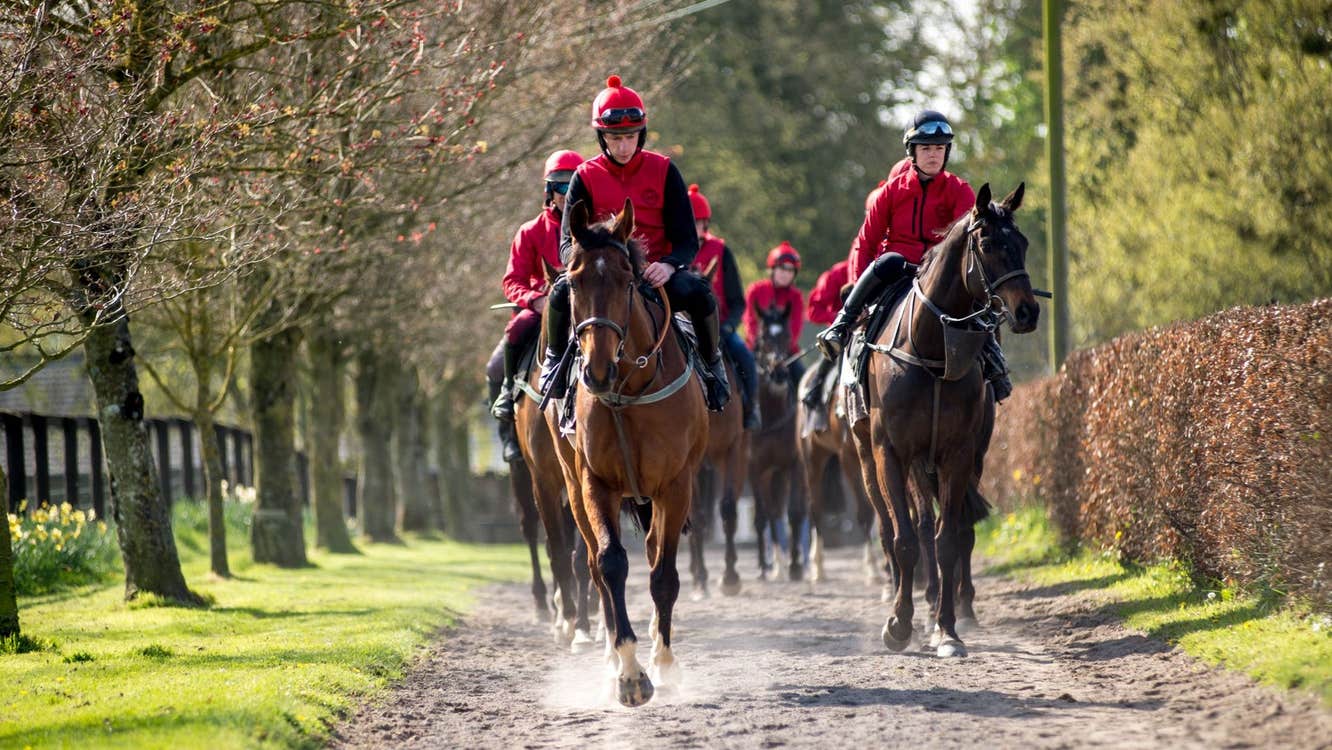 A group of jockeys racing along a track