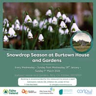 Poster for Snowdrops and Sculpture at Burtown House