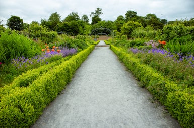 A wide path through a garden with plants and shrubs either side 