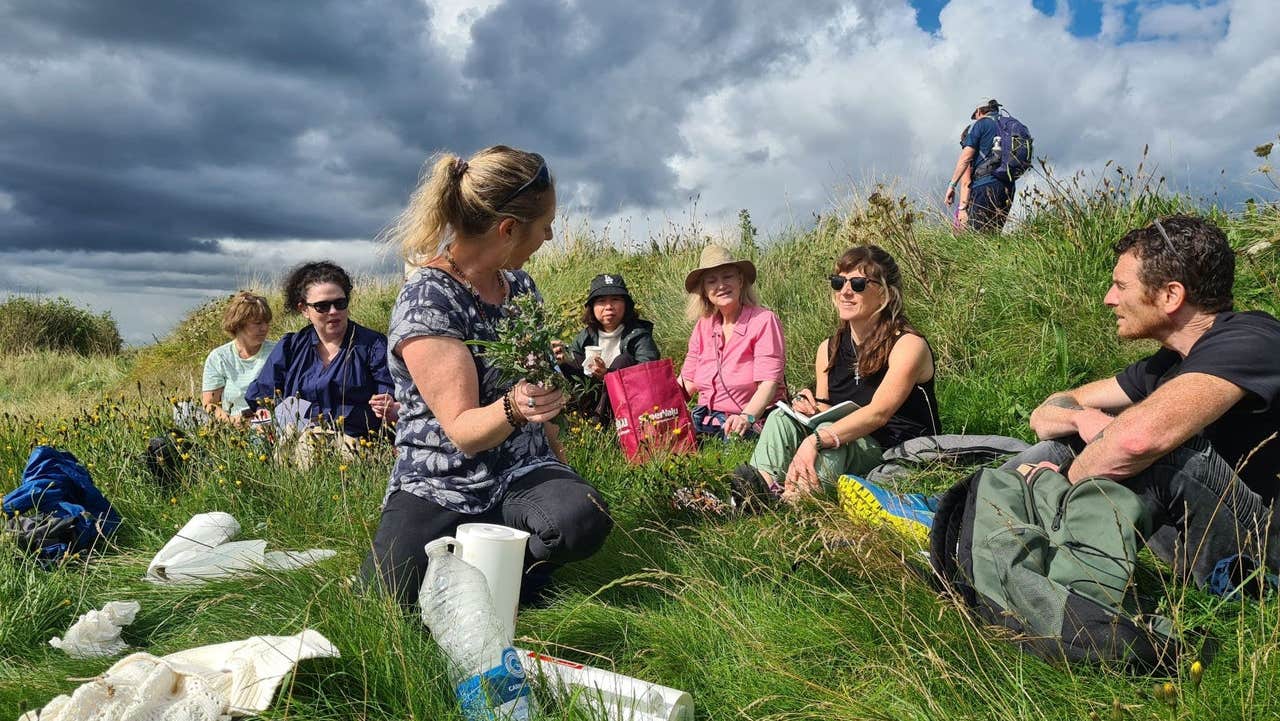 Group sitting on grass learning about foraging