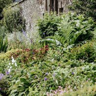 Herbacious border at Loughcrew Historic Gardens County Meath