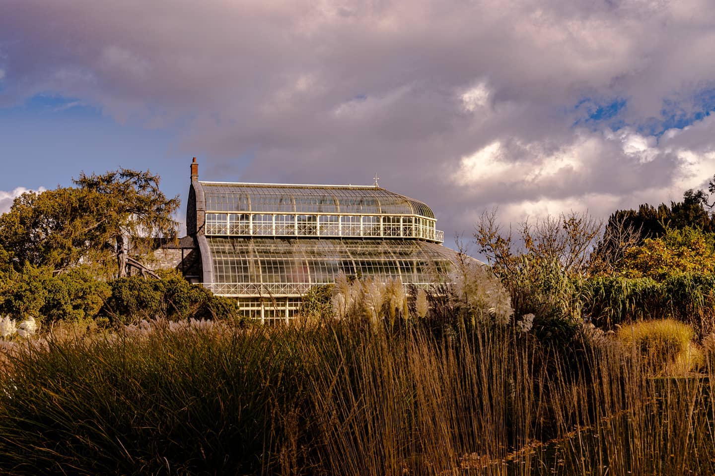 Admire the beauty of the National Botanic Gardens' glasshouses. 