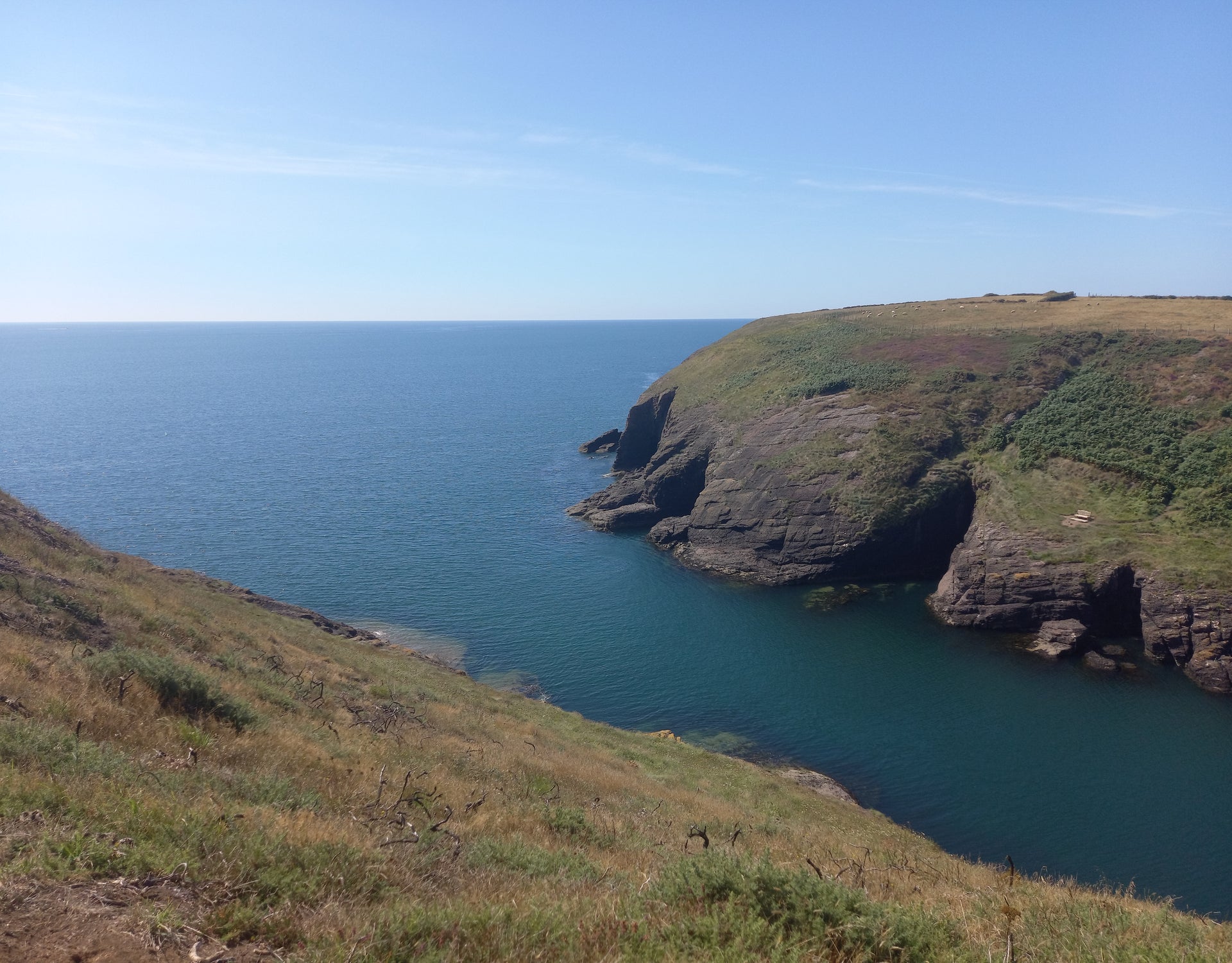 Waterford Estuary Coastal Path – Dunmore East to Ballymacaw