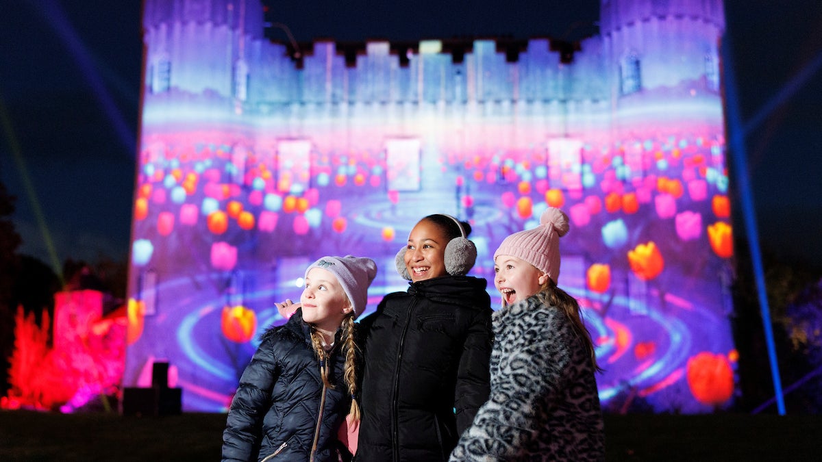 Experience Ireland’s largest, award-winning winter light show! Wonderlights transforms stunning landscapes with millions of twinkling lights, projections, and music. Fully accessible for all ages, with an Alpine food village