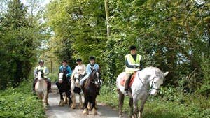Trekking at Roscommon Equestrian Centre