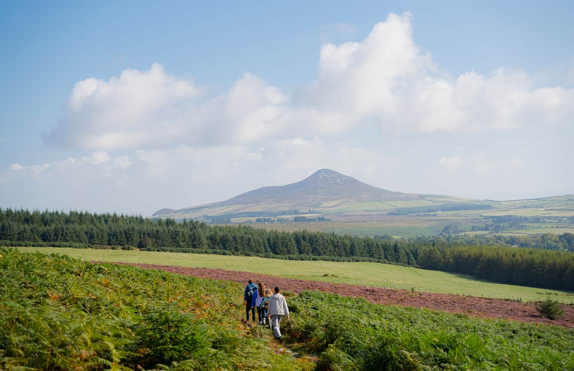 The horizon of a mountain behind a field in Wicklow.